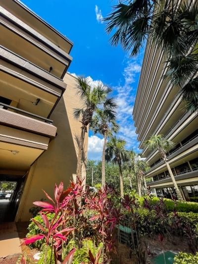 An exterior view of Rosen Inn at Pointe Orlando with tropical landscaping.