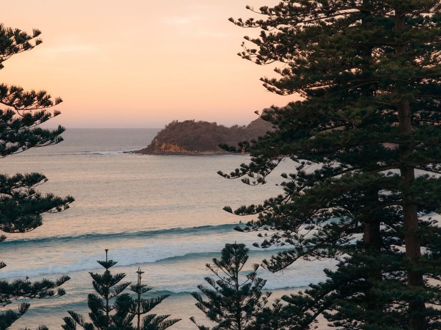Sunset views of ocean waves under pine tree branches from Elysium Manly, with a distant rocky island