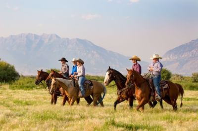 Four cowboys on horseback riding through a field with mountains in the background near Hotel Park City Autograph Collection