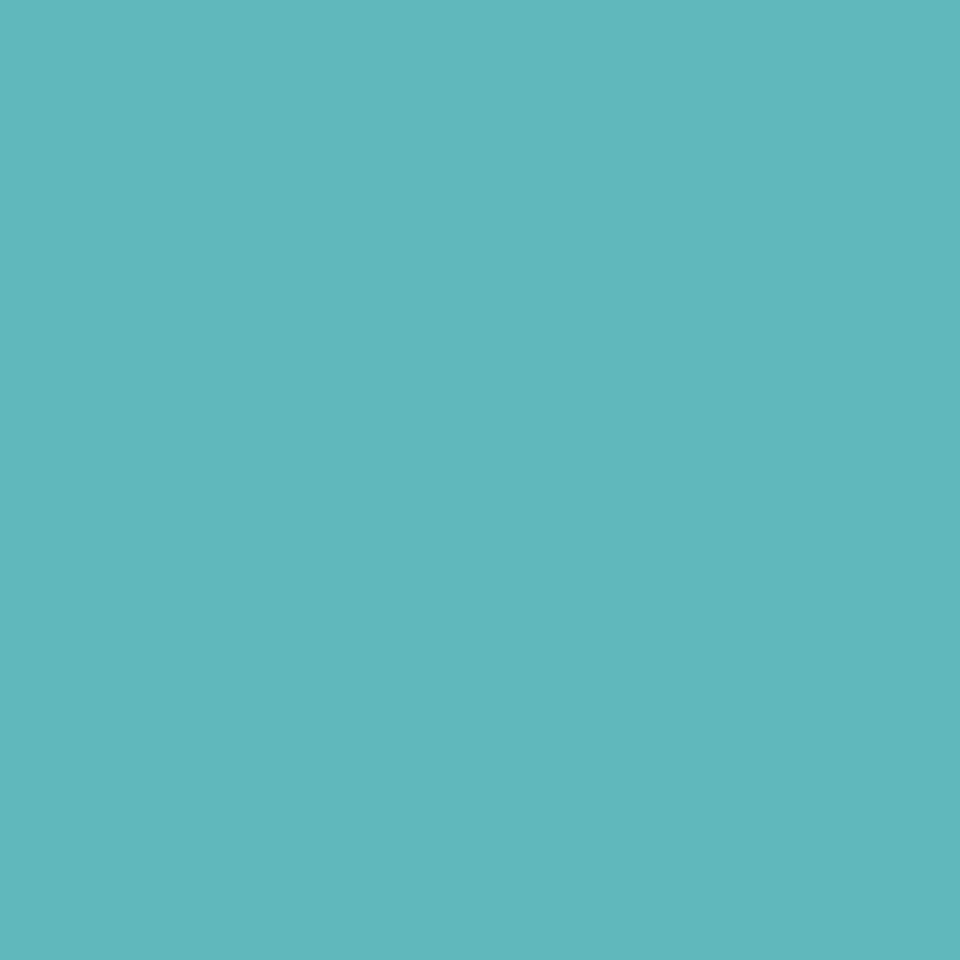 The light blue background was used at Anaheim Hotel