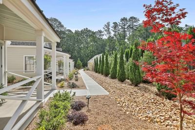 Lush conifers and smooth pebbles surround a vibrant red maple beneath a clear blue sky by Cottages at Laurel Brooke