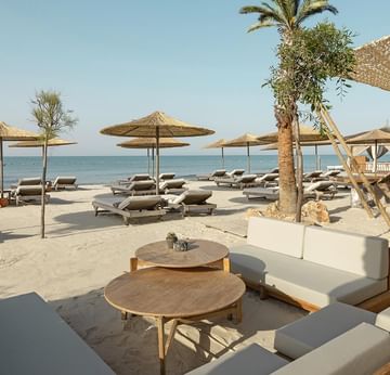 Las Bachas Beach lounge area with furniture, umbrellas, and palm trees at Cullinan Belek