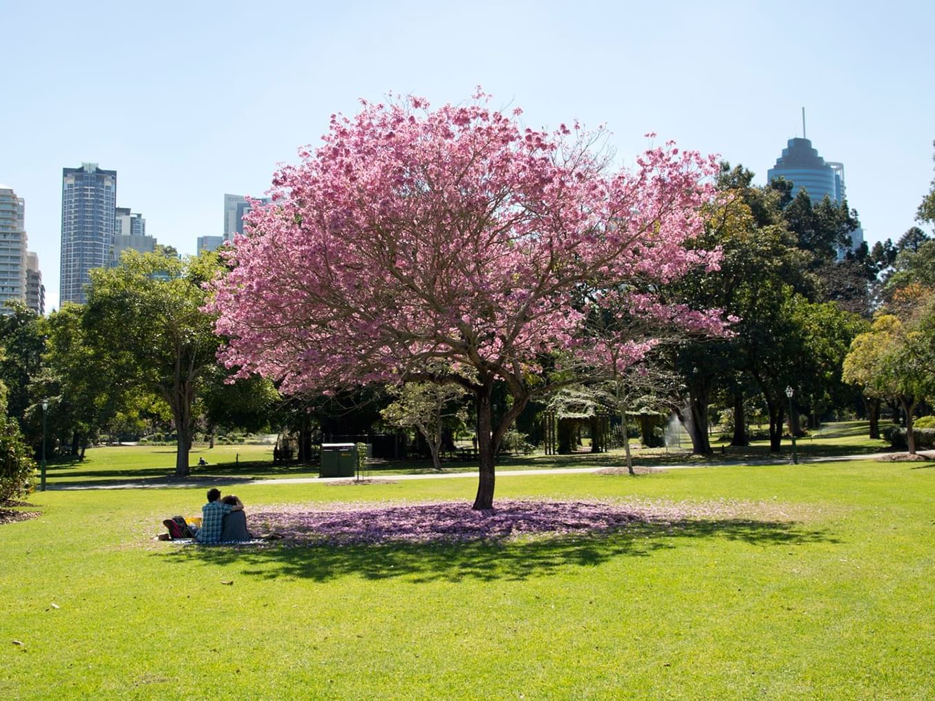 Brisbane city botanic garden near Royal on the Park hotel 