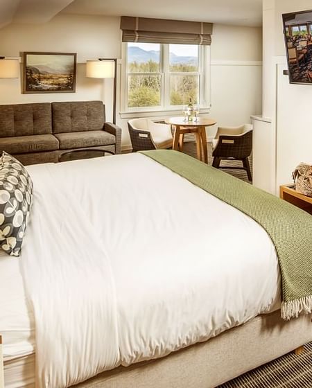 Deluxe Suite #333 One King Bed