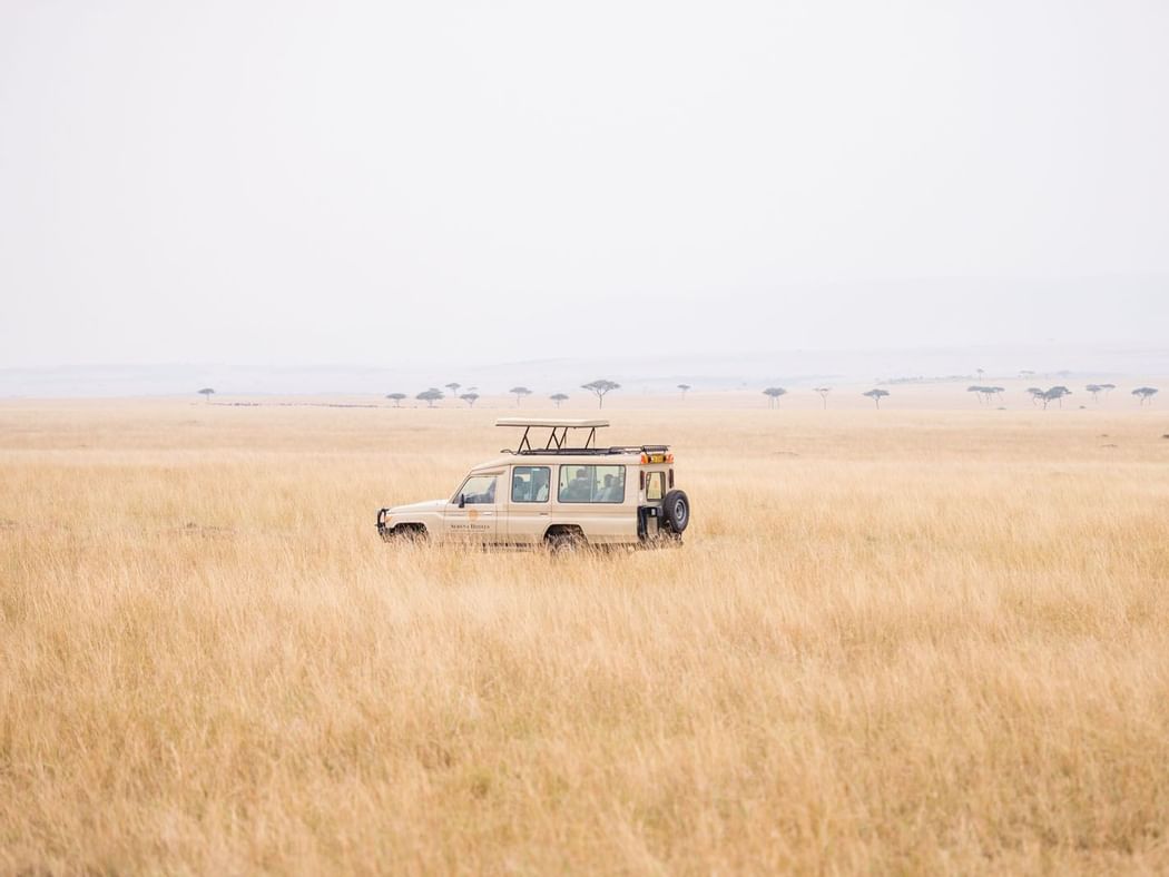 A Jeep an middle of a steppe at Mara Serena Safari Lodge