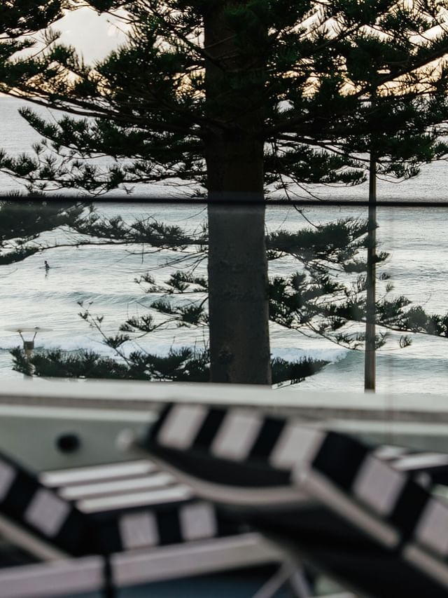 Ocean View Terrace King at Elysium Manly with an ocean view beyond pine trees under a glass railing near lounge chairs
