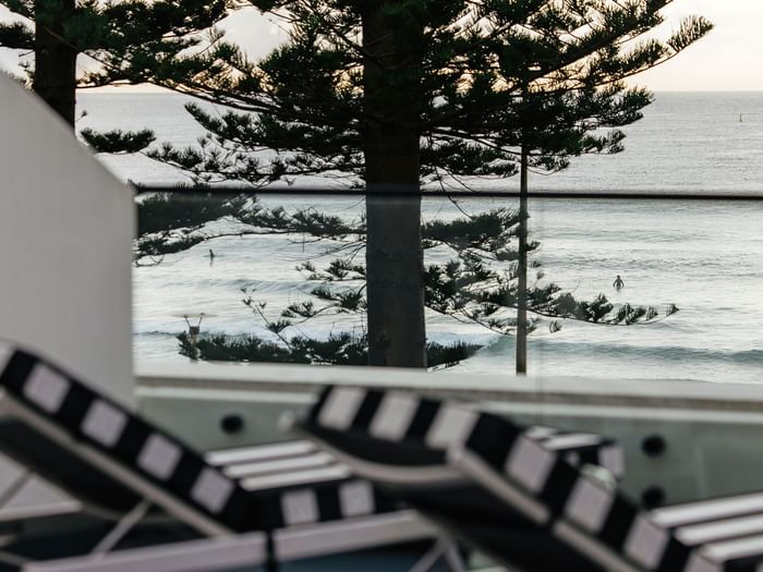 Ocean View Terrace King at Elysium Manly with an ocean view beyond pine trees under a glass railing near lounge chairs