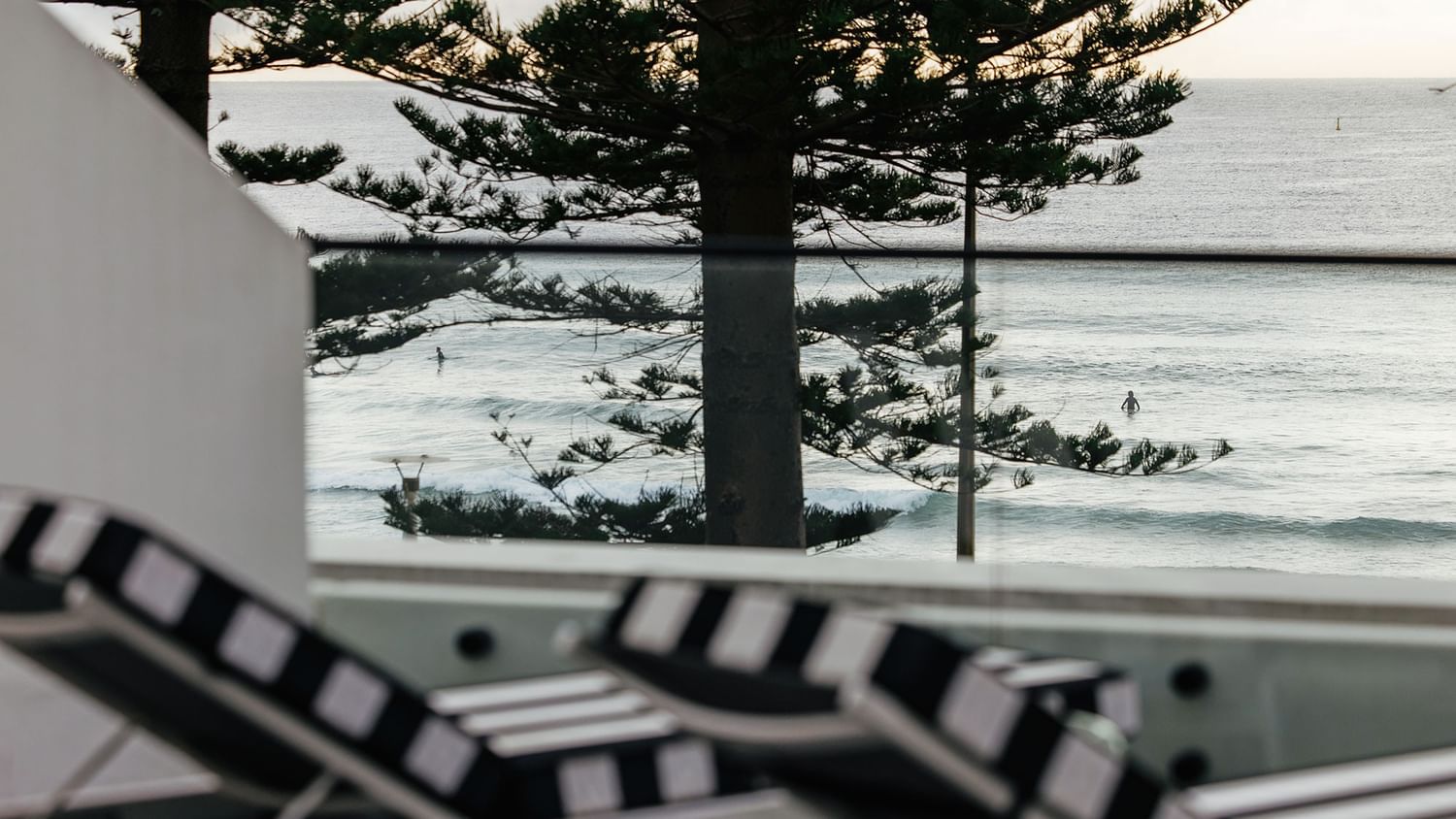 Ocean View Terrace Twin at Elysium Manly with surfers by pine tree branches under a glass railing near striped lounge chairs