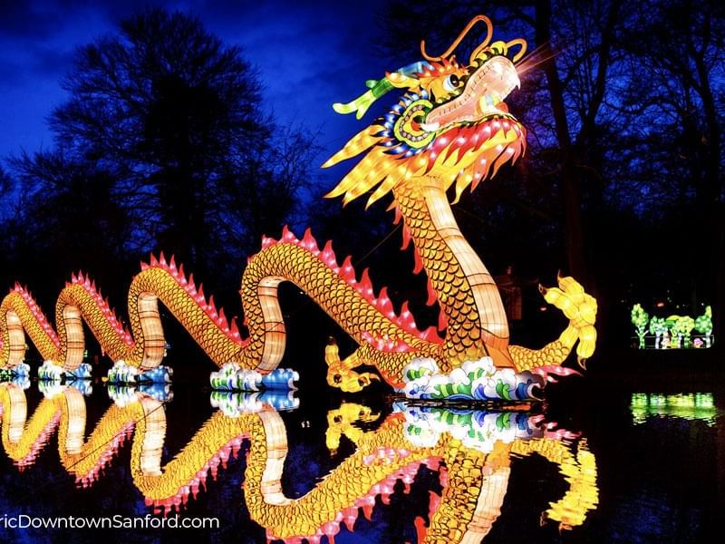 Asian-Lantern-Festival-by-Publix