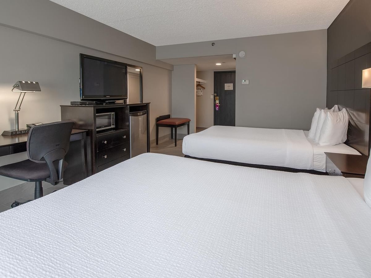 Two queen beds, desk, TV, and chair in a pet friendly room.