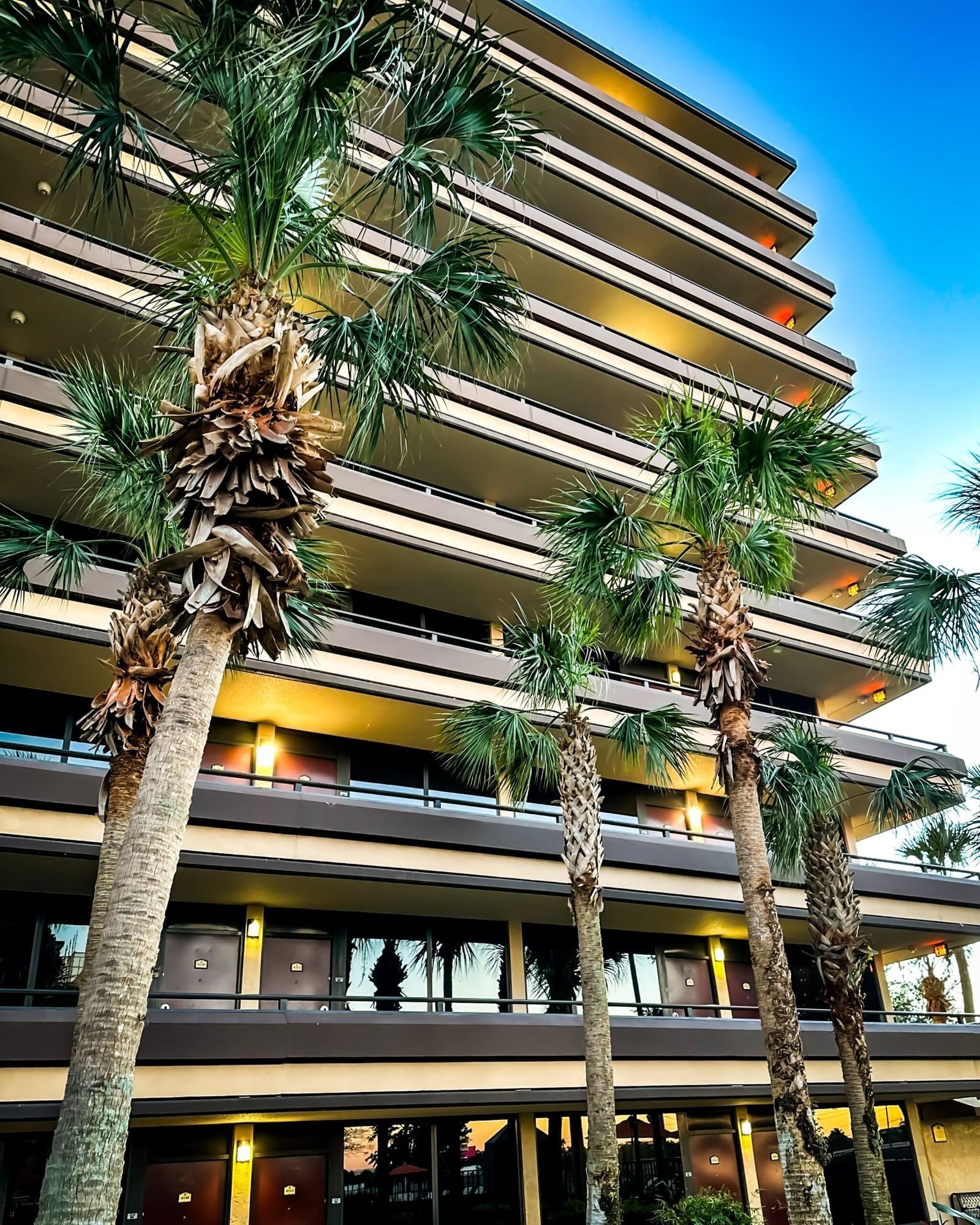 A glowing multi-story hotel with exterior entrances with surrounding palm trees. 