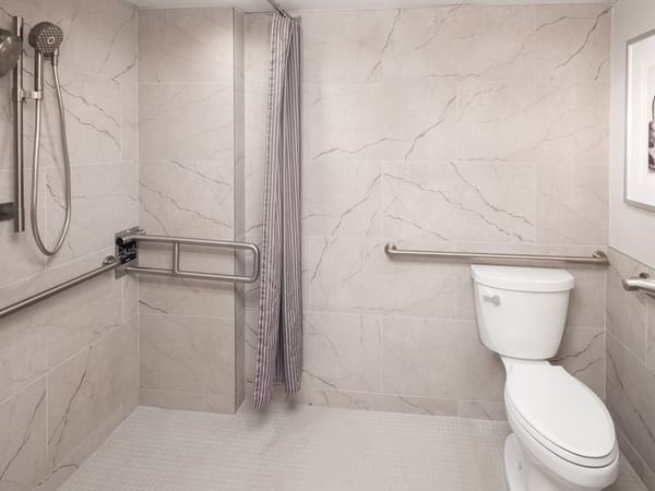 Clean, accessible bathroom with a toilet, grab bars, showerhead, and a framed picture on the wall.