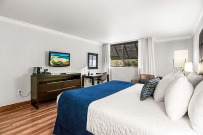 King bed with blue throw facing a TV and dresser beside a work desk and wide windows in the Deluxe Room at Miami Lakes Hotel