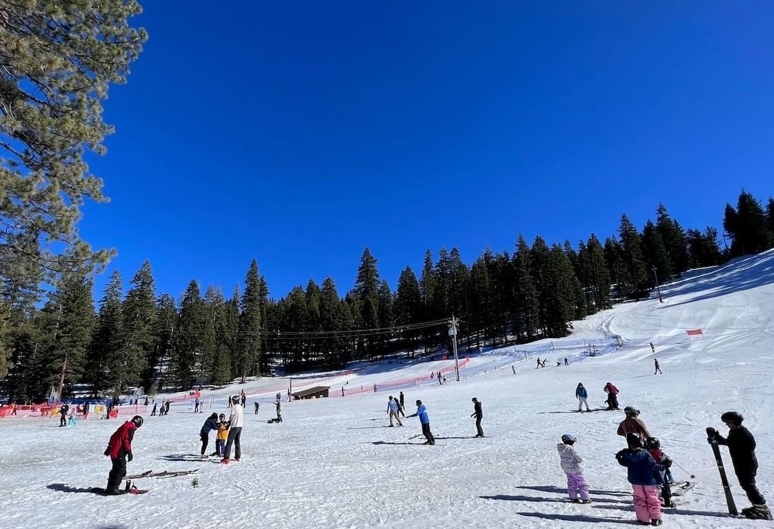 View of Granlibakken's ski & sled hill