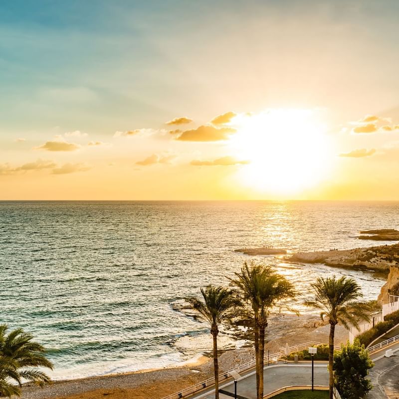 Sunset over a calm Beirut sea near Warwick Hotels and Resorts, with palm trees in the foreground