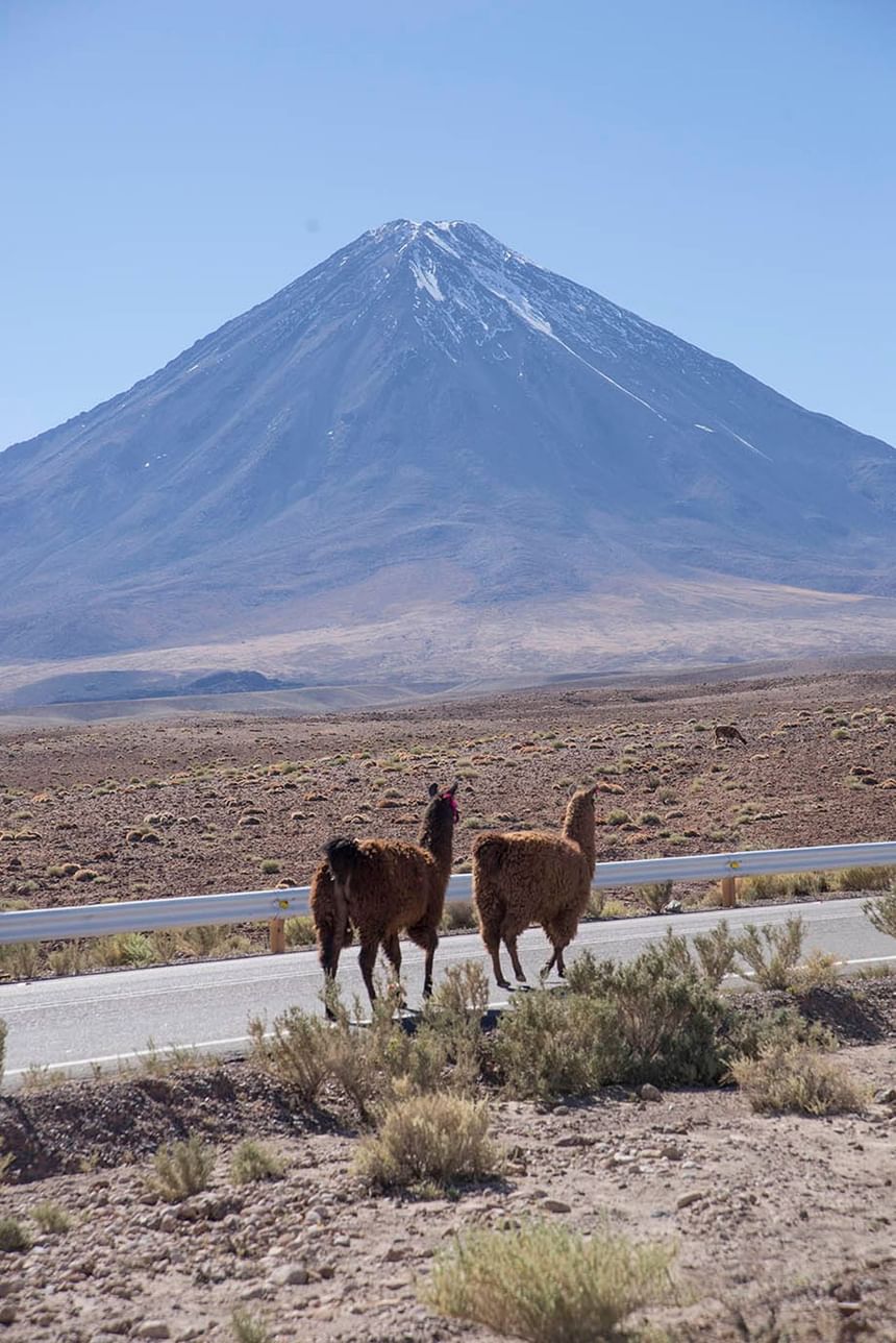 Excursions from Hoteles Cumbres in Chile