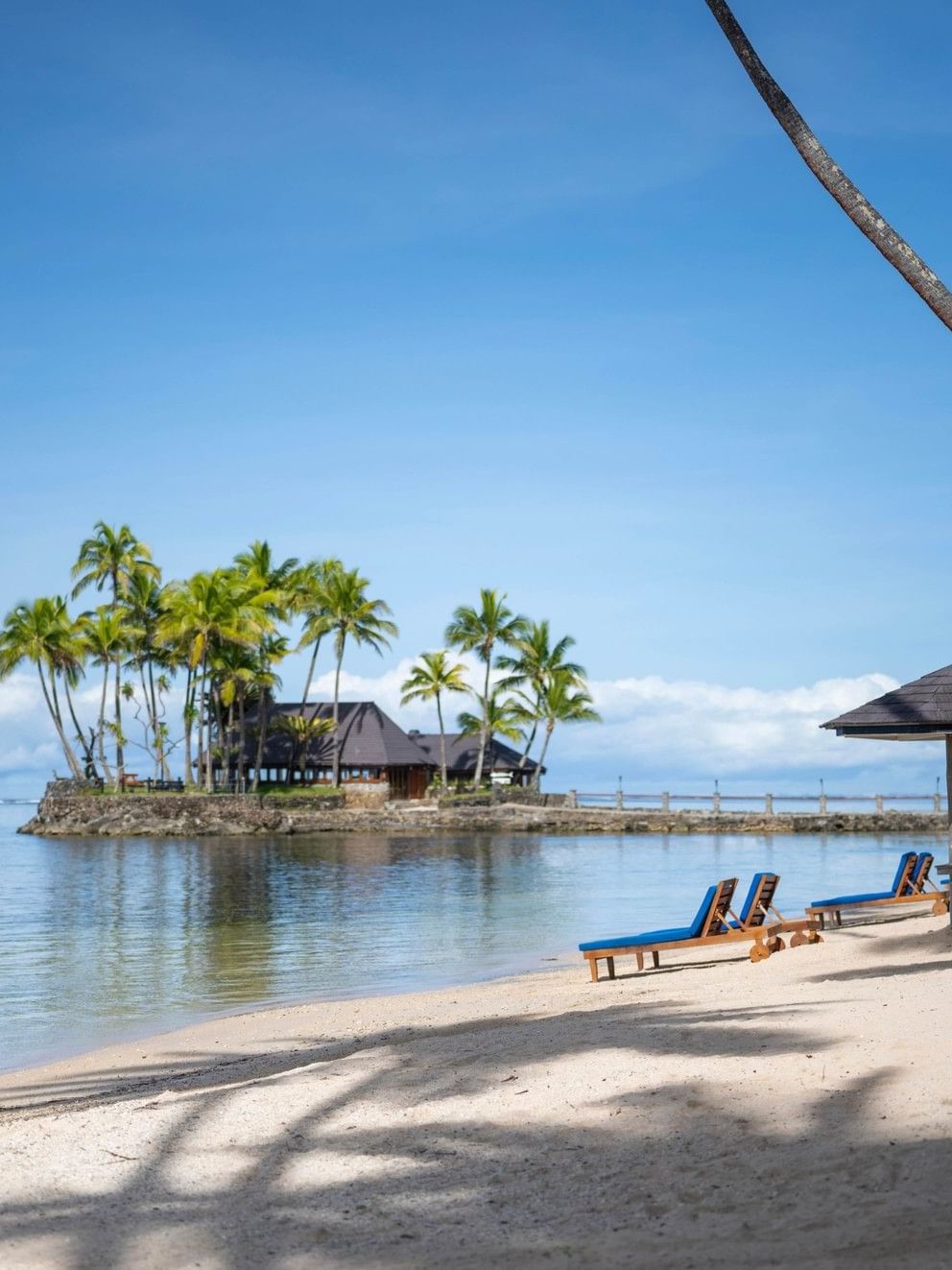 Tropical beach scene with palm trees and lounge chairs at Warwick Fiji Resort and Spa