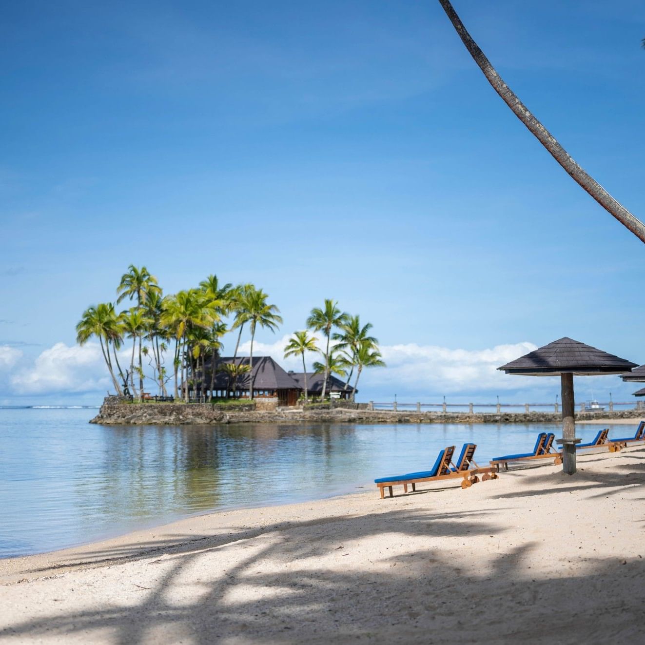 Une plage tropicale avec des palmiers et des chaises longues au Warwick Fiji Resort and Spa.