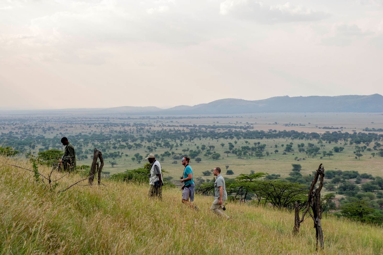 Tourists on a Nature walk near Serengeti Serena Safari Lodge