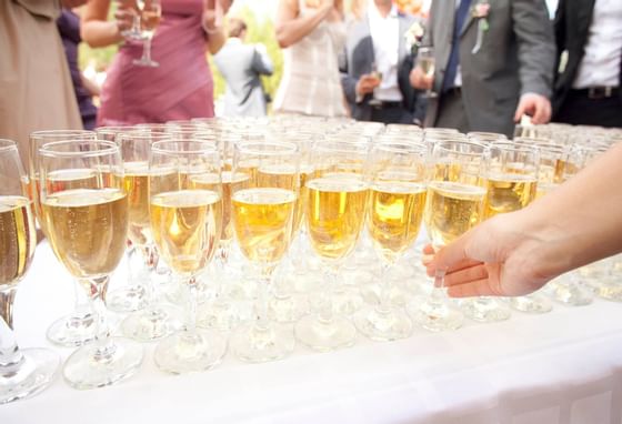 Filled champagne glasses on a table at Honor’s Haven Retreat