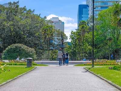 Auckland Surroundings