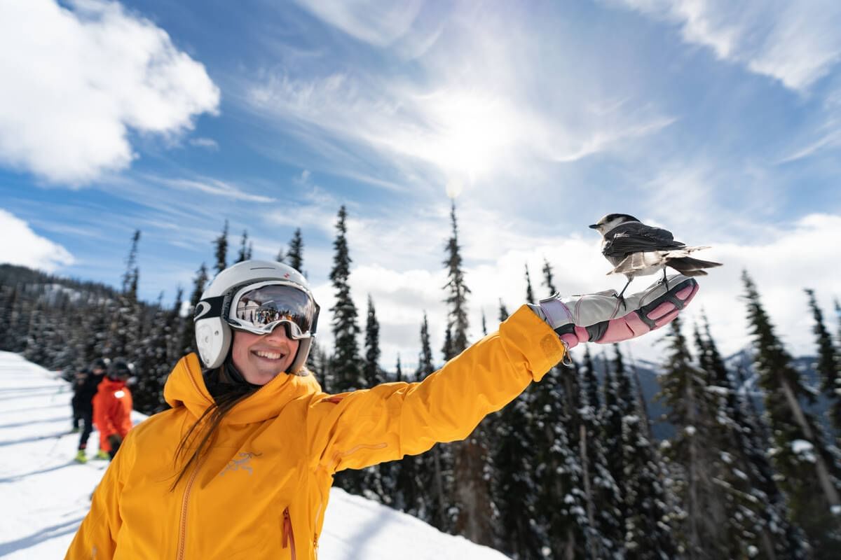 Skier holding a Whiskey Jack bird near Blackcomb Springs Suites