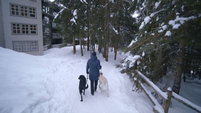 A man walking his two dogs at Clique Hotels & Resorts