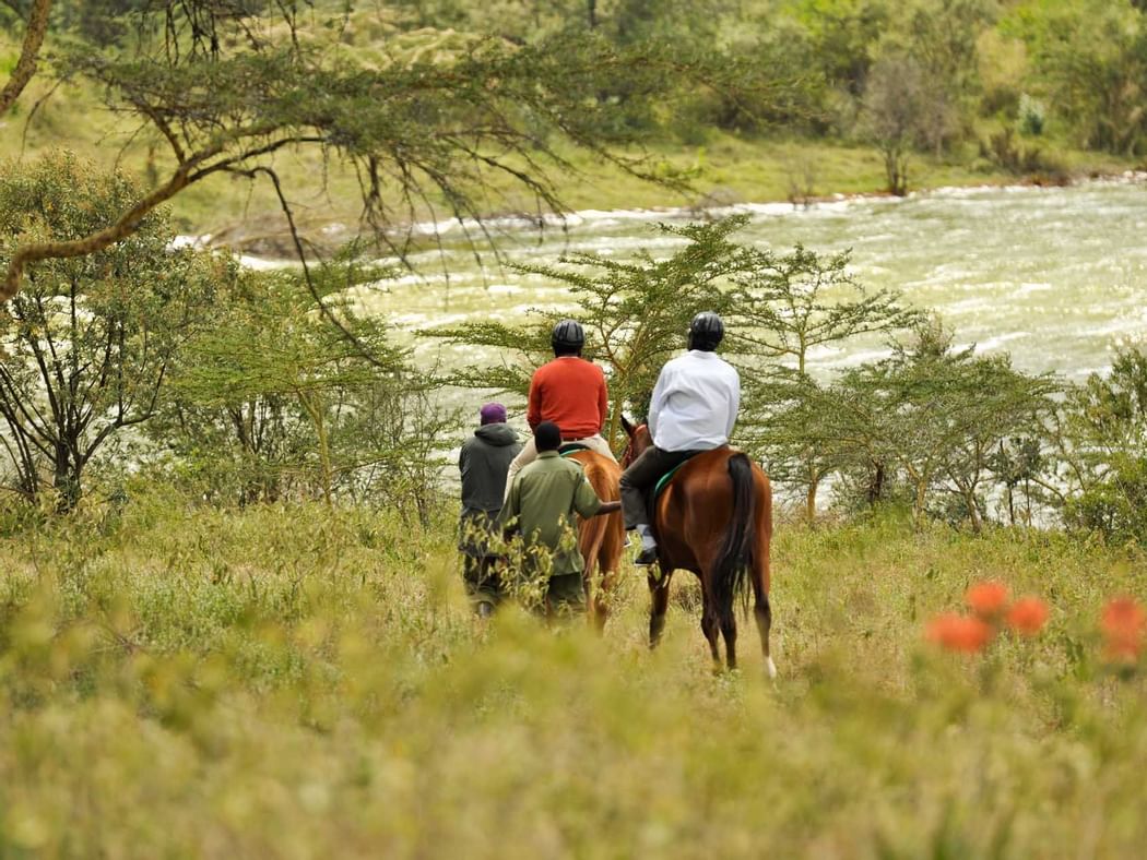 Horse back rides with jockey near Hotel Lake Elmenteita