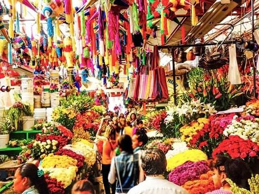 Traditional market in Mexico city near Dominion Suites Polanco