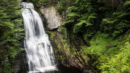 Landscape view of the Bushkill Falls, featuring one of the best Hiking trails near Cove Pocono Resorts