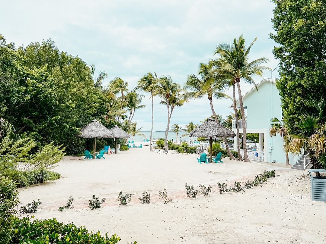 Sandy beach with palm trees, blue chairs, thatched umbrellas, and a light blue house with stairs.