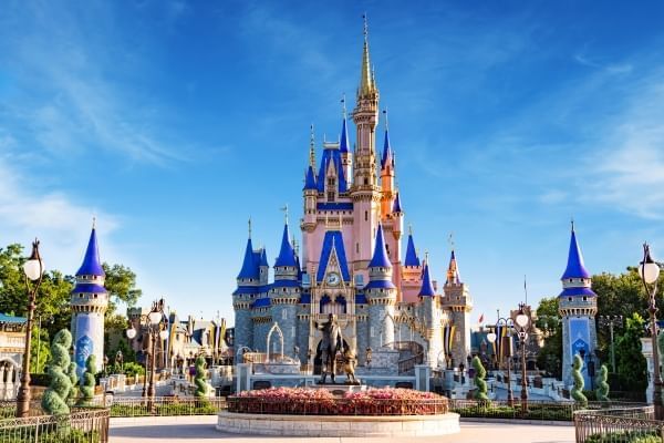 A blue and pink castle against a blue sky, surrounded by topiaries and a statue of Walt Disney holding Mickey Mouse's hand. Cinderella Castle at Magic Kingdom, Walt Disney World Resort.