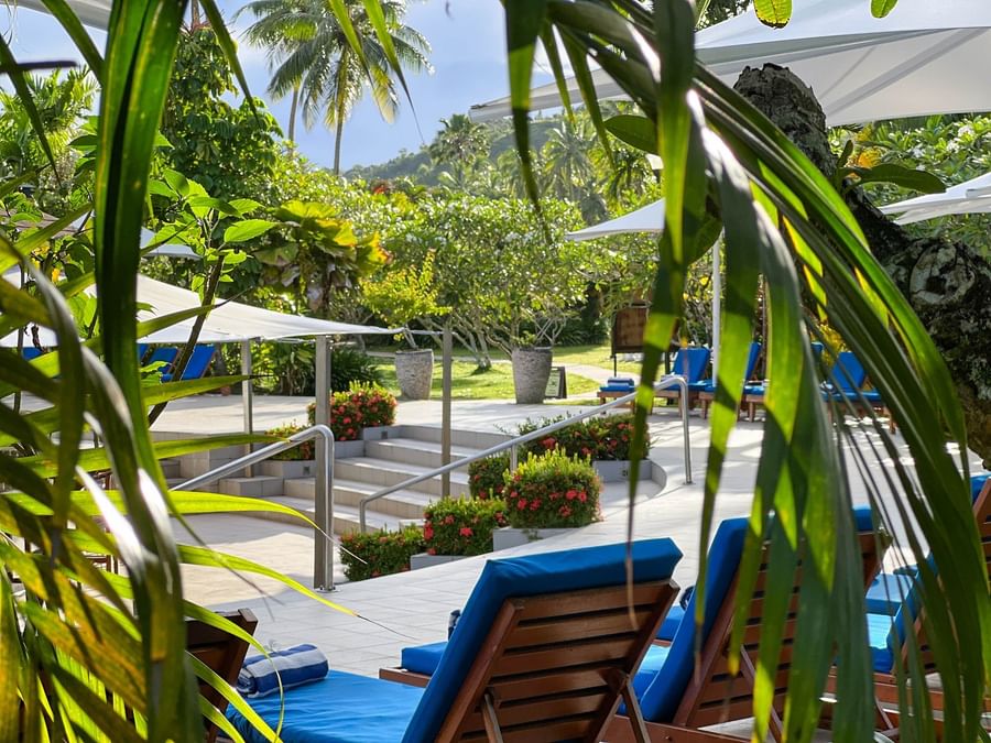 Blue cushioned lounge chairs surrounded by lush greenery and steps leading to a pool area at The Naviti Resort Fiji.
