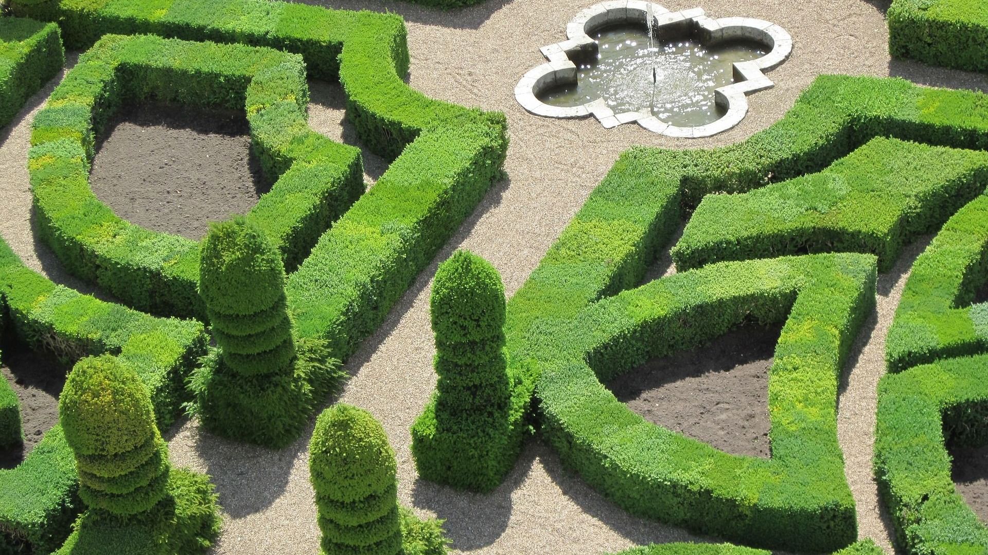 Aerial shot of a maze at The Original Hotels 
