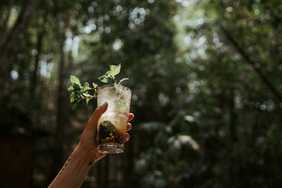 Hand holding a mojito with mint leaves, against a forest backdrop at The Dwarika's Himalayan Wellbeing