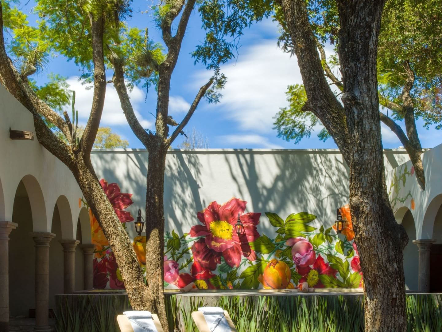 Outdoor wall with nice flower art, Solarium spa, La Colección