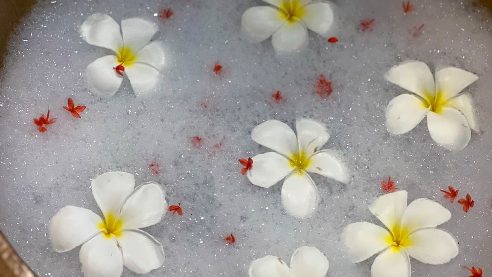 White plumeria flowers floating on a bubble bath at The Joy Spa in Korolevu at The Naviti Resort Fiji.