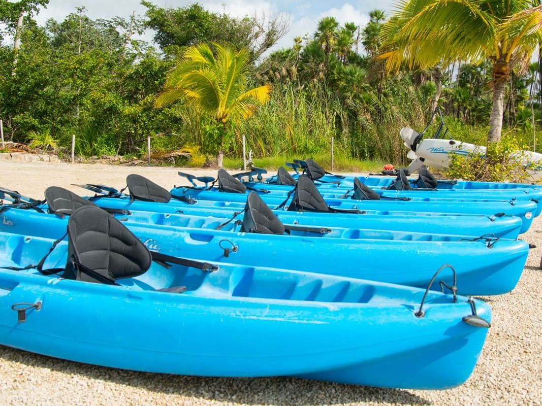 A row of kayaks stationed on the beach near La Colección