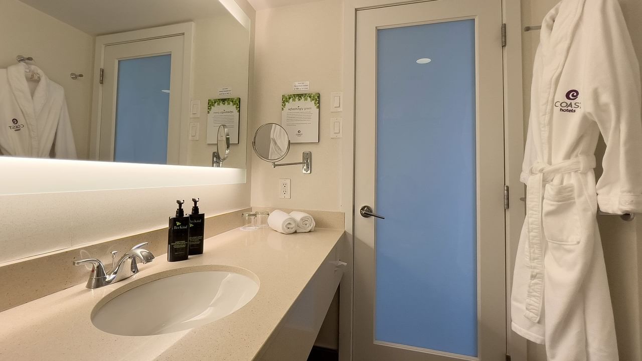 Hotel guestroom washroom with sink and bathrobe