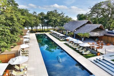 Luxury pool area with loungers, umbrellas and a thatched-roof building at El Mangroove Hotel