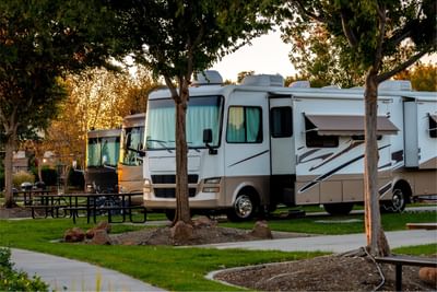 Two large recreational vehicles parked on grass next to trees and a picnic table at Fall Creek Marina & Campground