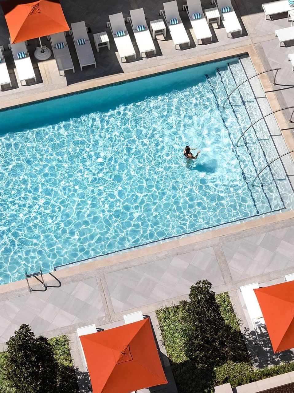 warwick-melrose-dallas-piscine-grand-angle-recadrée