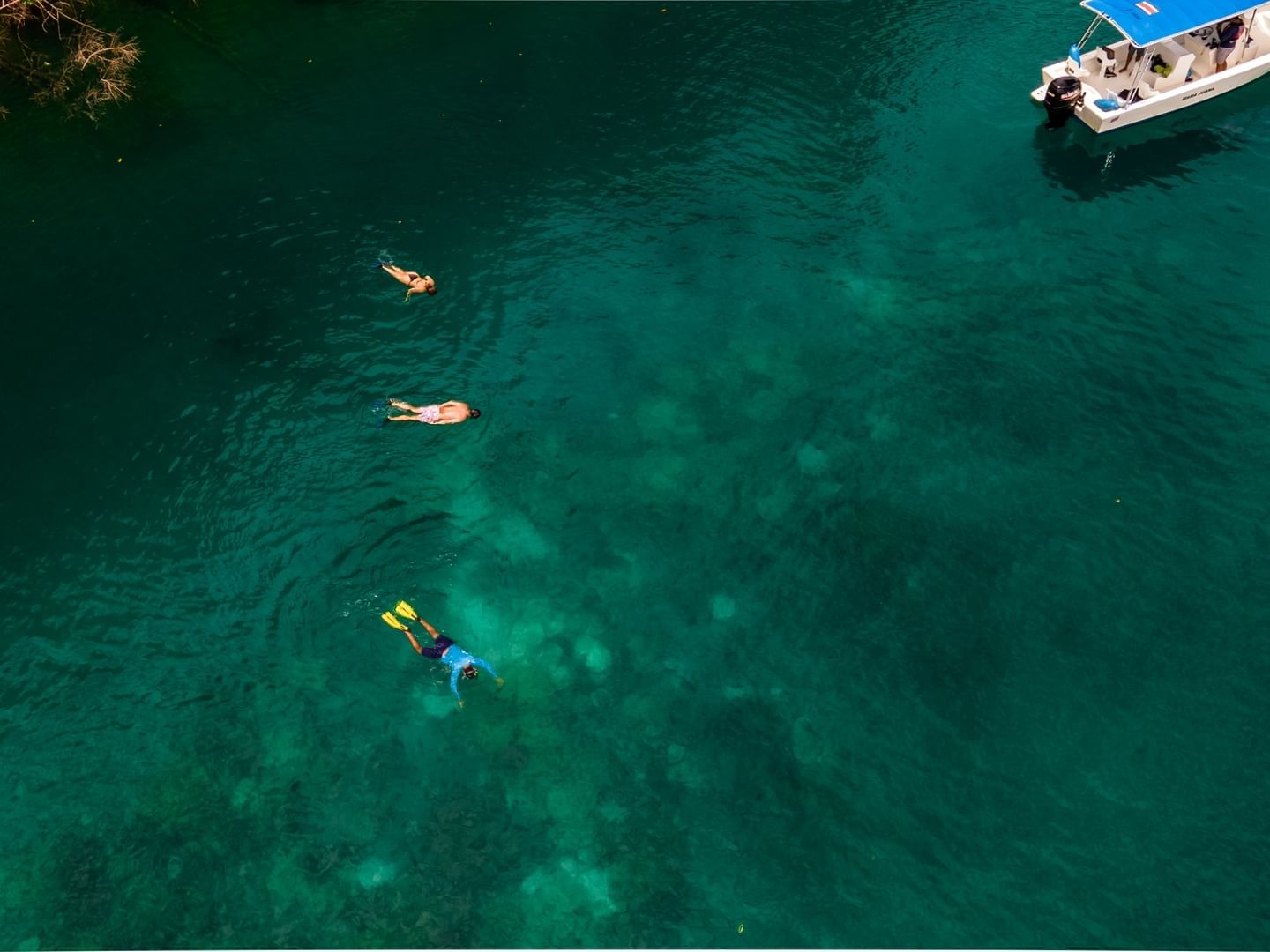 Tres personas haciendo snorkel en la Bahía Cativo cerca de Playa Cativo Lodge