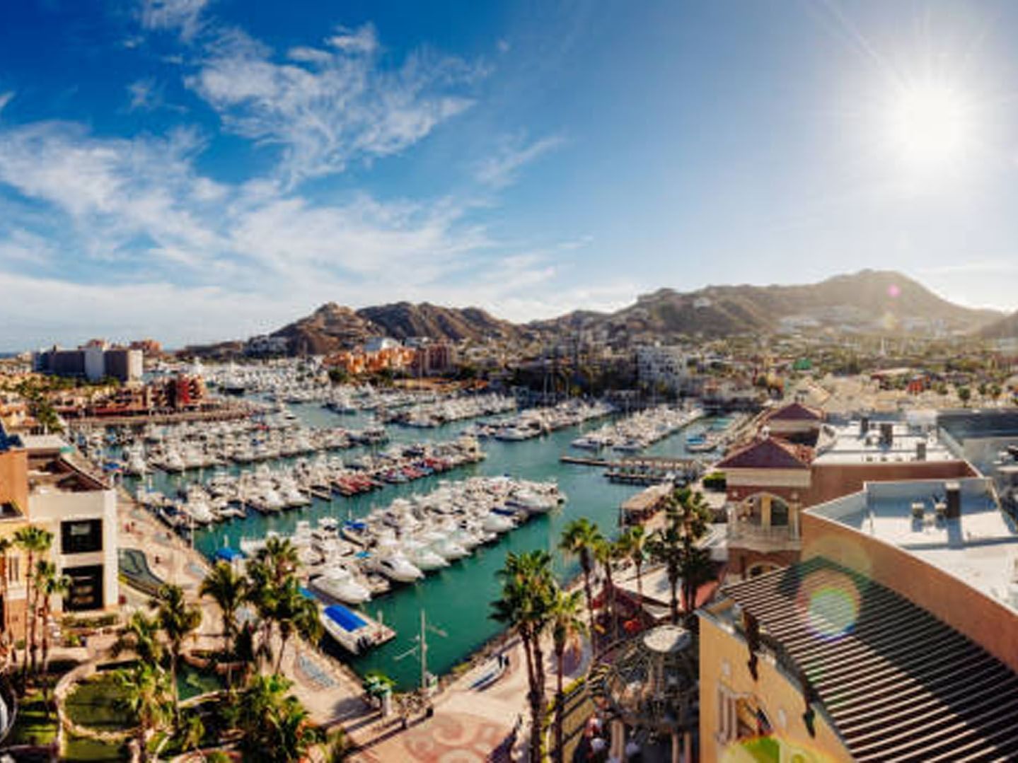 Aerial view of Marina near Hotel Aeropuerto los Cabos