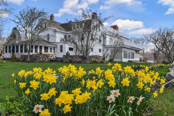 The garden & exterior of Hay Creek Hotels