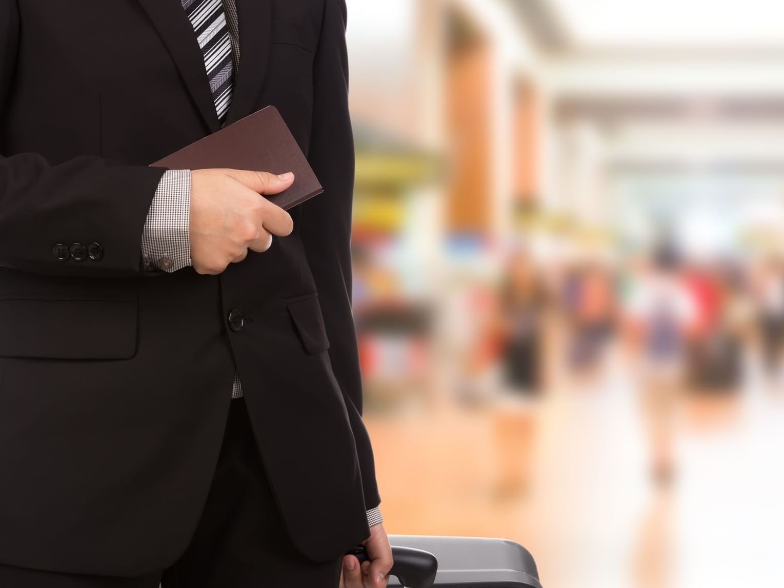 Man in a suit with a luggage