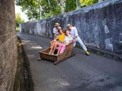Passeio Turístico Eira do Serrado - Monte