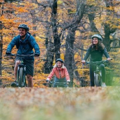 Group of people on a bike ride in the woods near DOT Hotels

