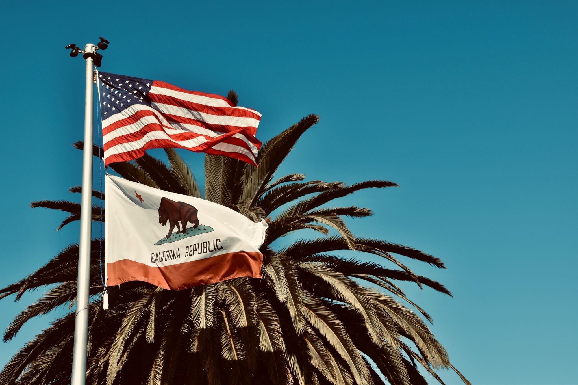 The American flag and California state flag flying on a pole in front of a palm tree under a clear blue sky.
