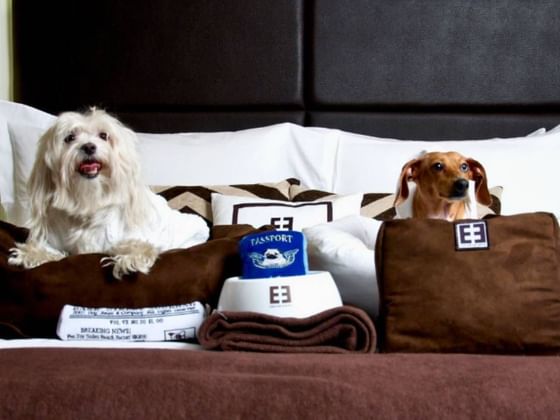 Luxurious Manhattan Amenities at the Empire Hotel New York